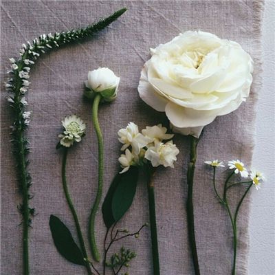 BB贝博ballbet网页登录截图