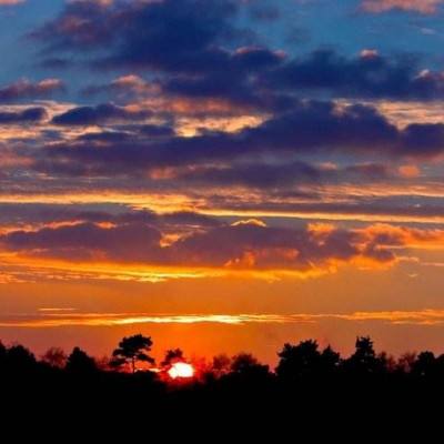 pg娱乐电子游戏平台官方版